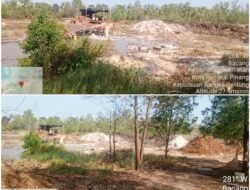 Mampukah APH Bongkar Jaringan Tambang Timah Tanpa Izin, Bekingan Oknum Aparat